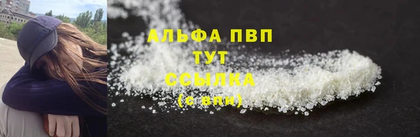 дживик Арсеньев