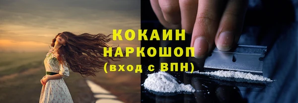 дживик Арсеньев