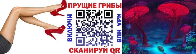 Галлюциногенные грибы Psilocybe  цены наркотик  Балей 